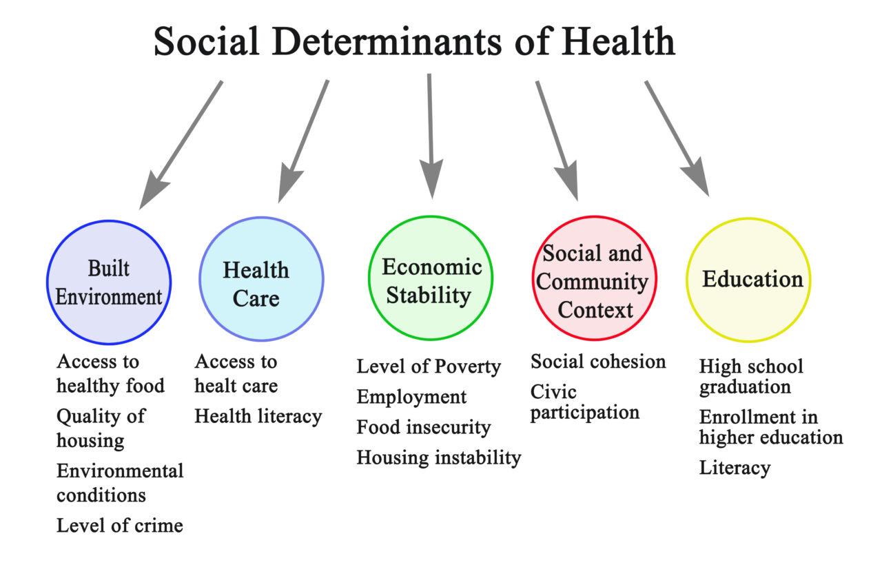 Access to Healthy Food a 